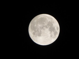 中秋の名月