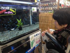 IMG_1094 - コピー