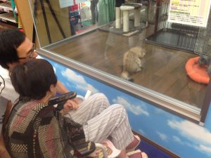 IMG_1091 - コピー